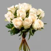 A Dozen Cream Roses Bouquet