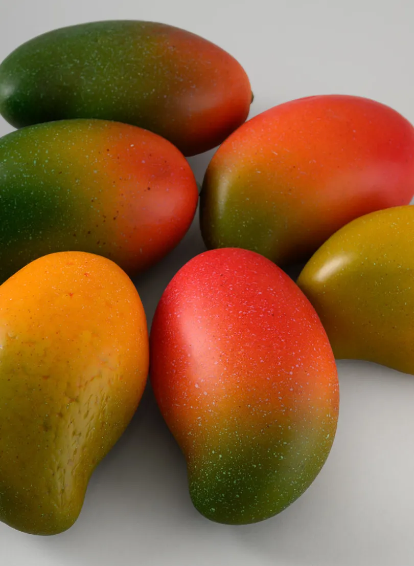 Alphonso Mangoes Assortment, Set of 6