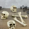 Ancestral Bones & Skulls Bag
