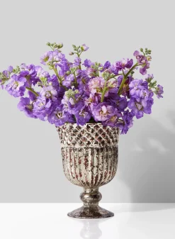 Antique Silver Mercury Glass Pedestal and Compote Vase