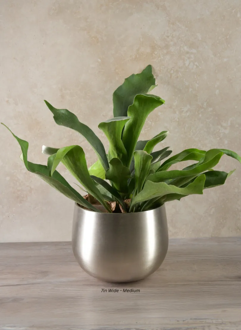 Araami Matte Silver Aluminium Bowl