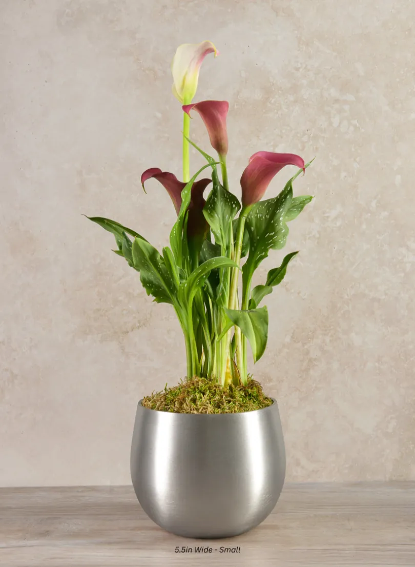 Araami Matte Silver Aluminium Bowl
