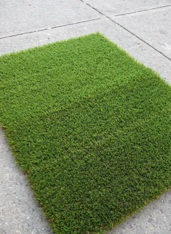 Artificial Grass Turf