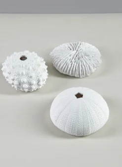 Artificial White Sea Urchins, Set of 3