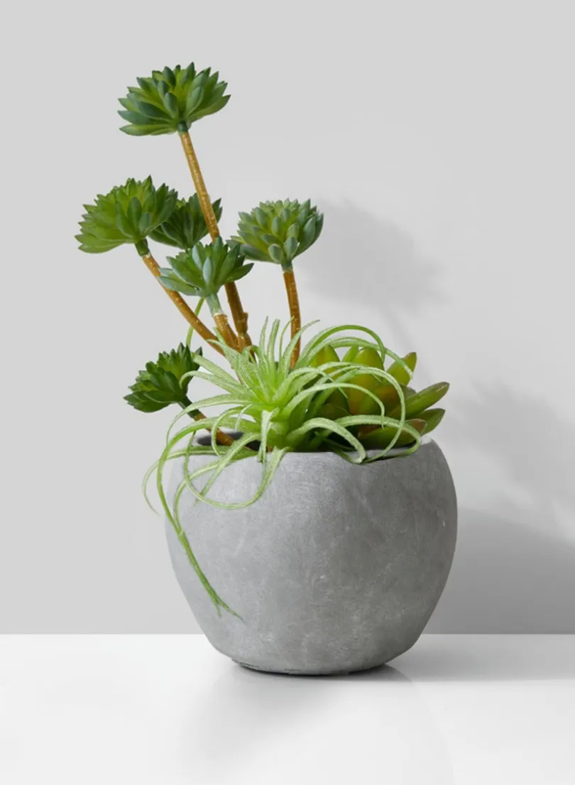Atelier Cement Fishbowl Vase