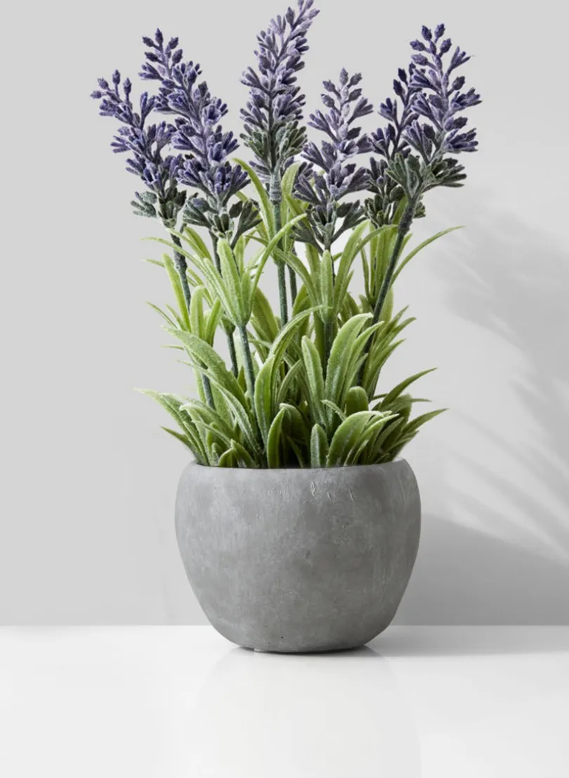 Atelier Cement Fishbowl Vase