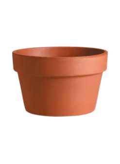 Azalea Clay Pots