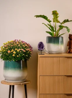 Banyan Running Jade Ceramic Pot with Saucer