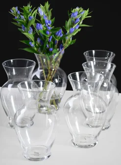 Best Value Ginger Glass Vase, Set of 6