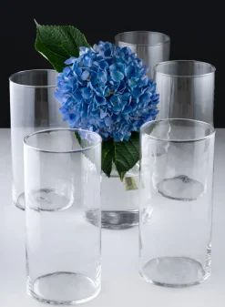 Best Value Glass Cylinder Vase, Set of 6