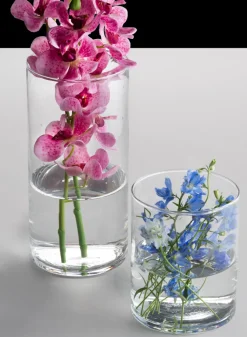 Best Value Glass Cylinder Vase, Set of 6