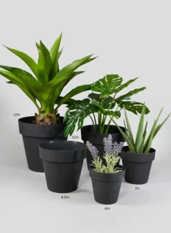 Black Standard Plastic Pots