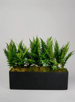 Campagna Black Classic Light Weight Window Box