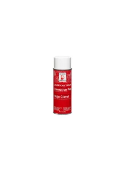 Carnation Red Spray Paint #716
