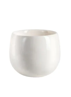 Ceramic Bowl Vases, Case of 6