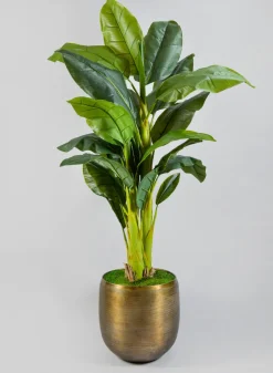 Chatai Cache Pot Zinc Planter