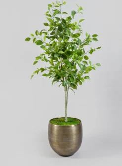 Chatai Cache Pot Zinc Planter