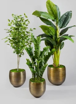 Chatai Cache Pot Zinc Planter