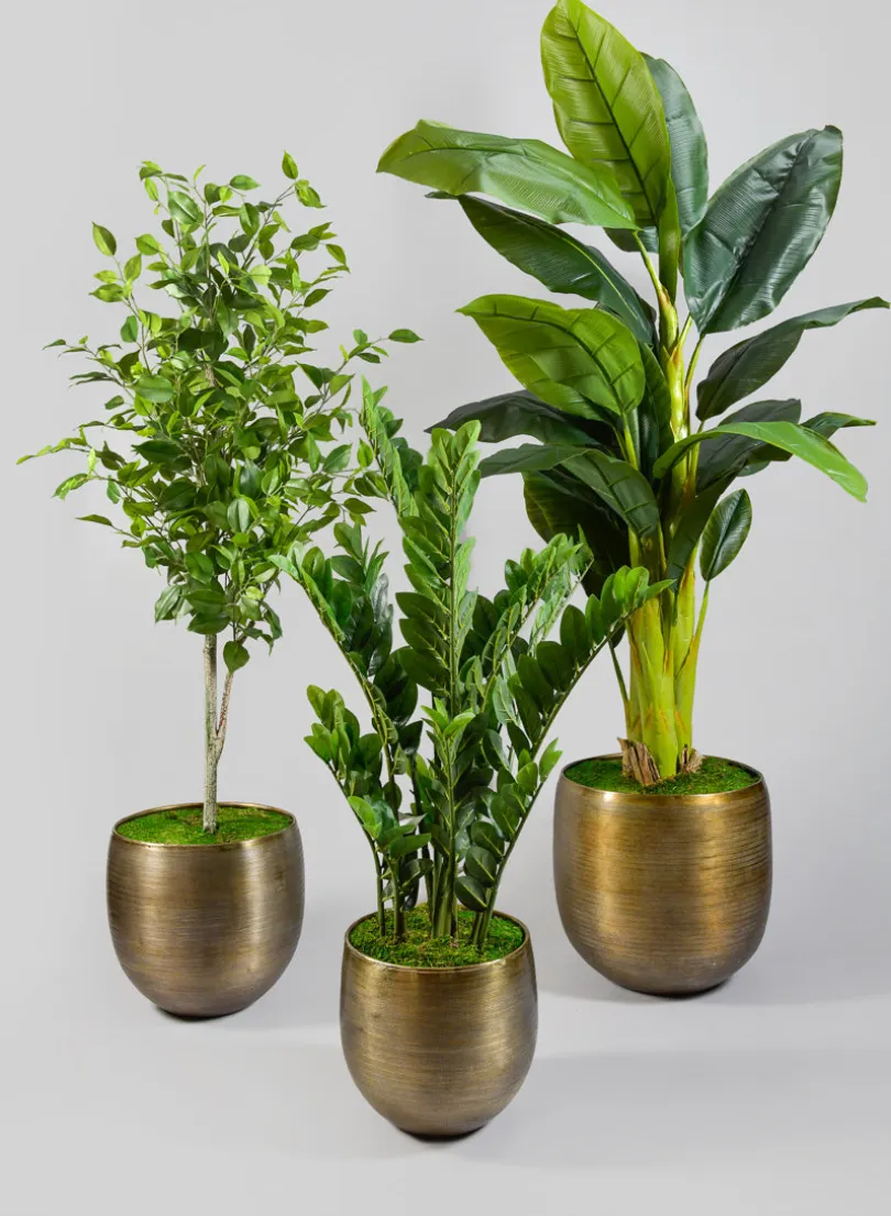 Chatai Cache Pot Zinc Planter