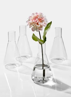 Chemist Flasks
