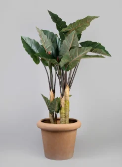 Chino Bevelled Edge Lava Concrete Terracotta Look Pot