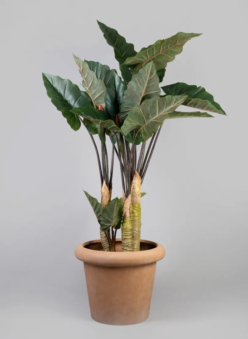 Chino Bevelled Edge Lava Concrete Terracotta Look Pot