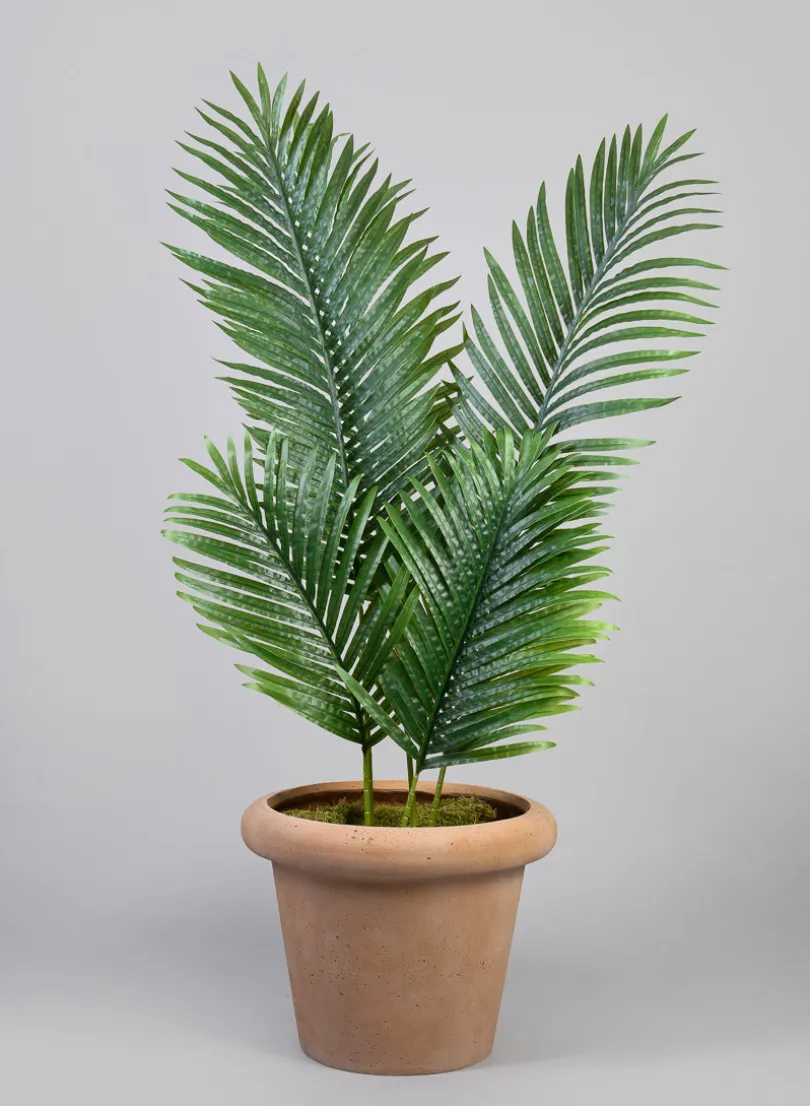 Chino Bevelled Edge Lava Concrete Terracotta Look Pot