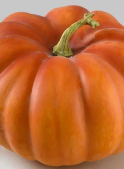 Cinderella Large Burned Yellow Pumpkin