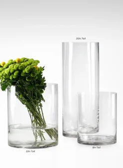 Clear Glass Cylinders