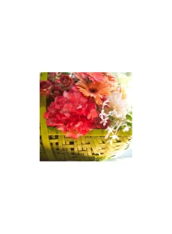 Coral Bright Spray Paint # 778