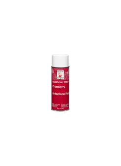 Cranberry Spray Paint #713