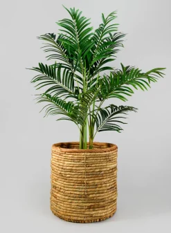Da Nang Water Hyacinth Basket Pot