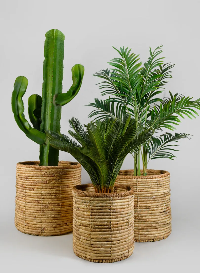 Da Nang Water Hyacinth Basket Pot