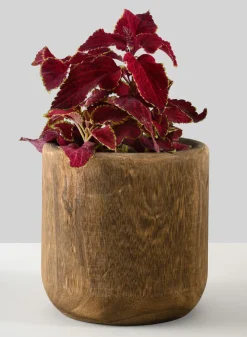 Dark Walnut Finish Paulownia Wood Cache Pot