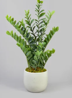 Deck Clay & Ceramic Planters, Yucatan White