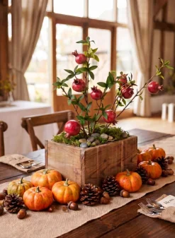 Fall Harvest Mini Pumpkins, Set of 6