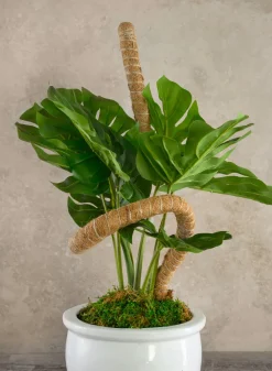 Flexible Coco Moss Plant Training Pole