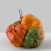 Fresh Farm Multi Color Mini Pumpkins, Set of 6