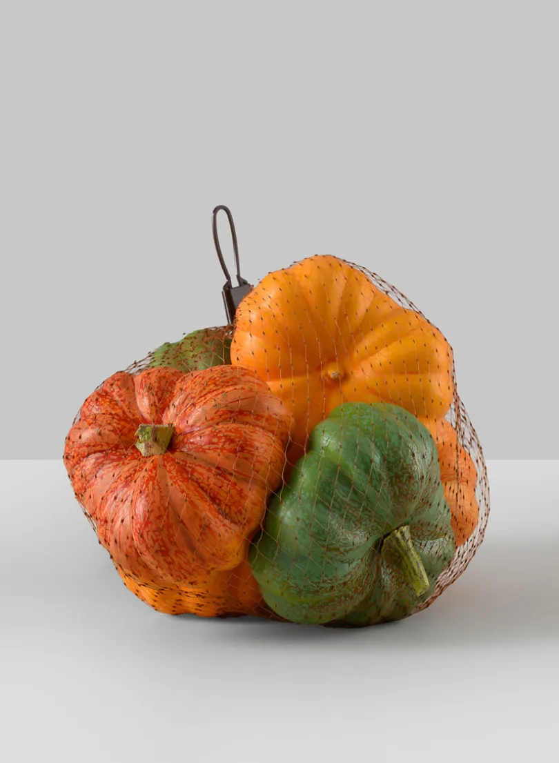 Fresh Farm Multi Color Mini Pumpkins, Set of 6