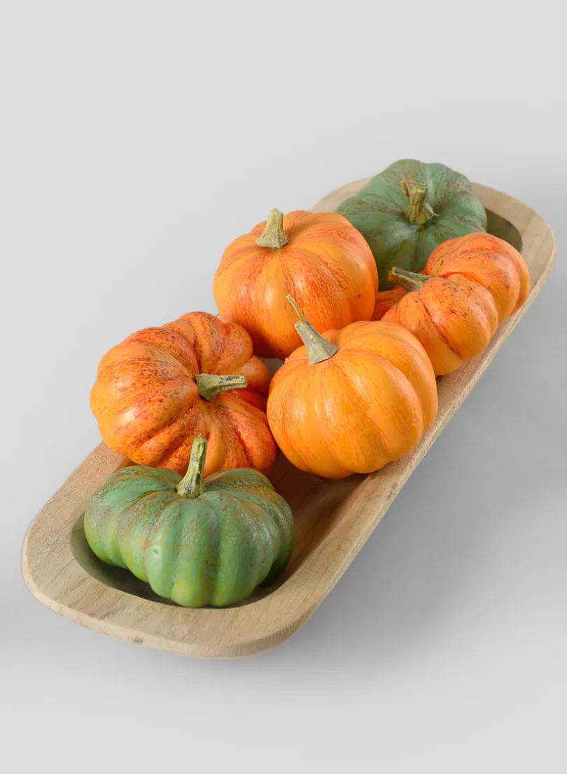 Fresh Farm Multi Color Mini Pumpkins, Set of 6