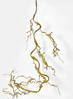 5ft Long Curly Vine Garland With Moss, Case of 6
