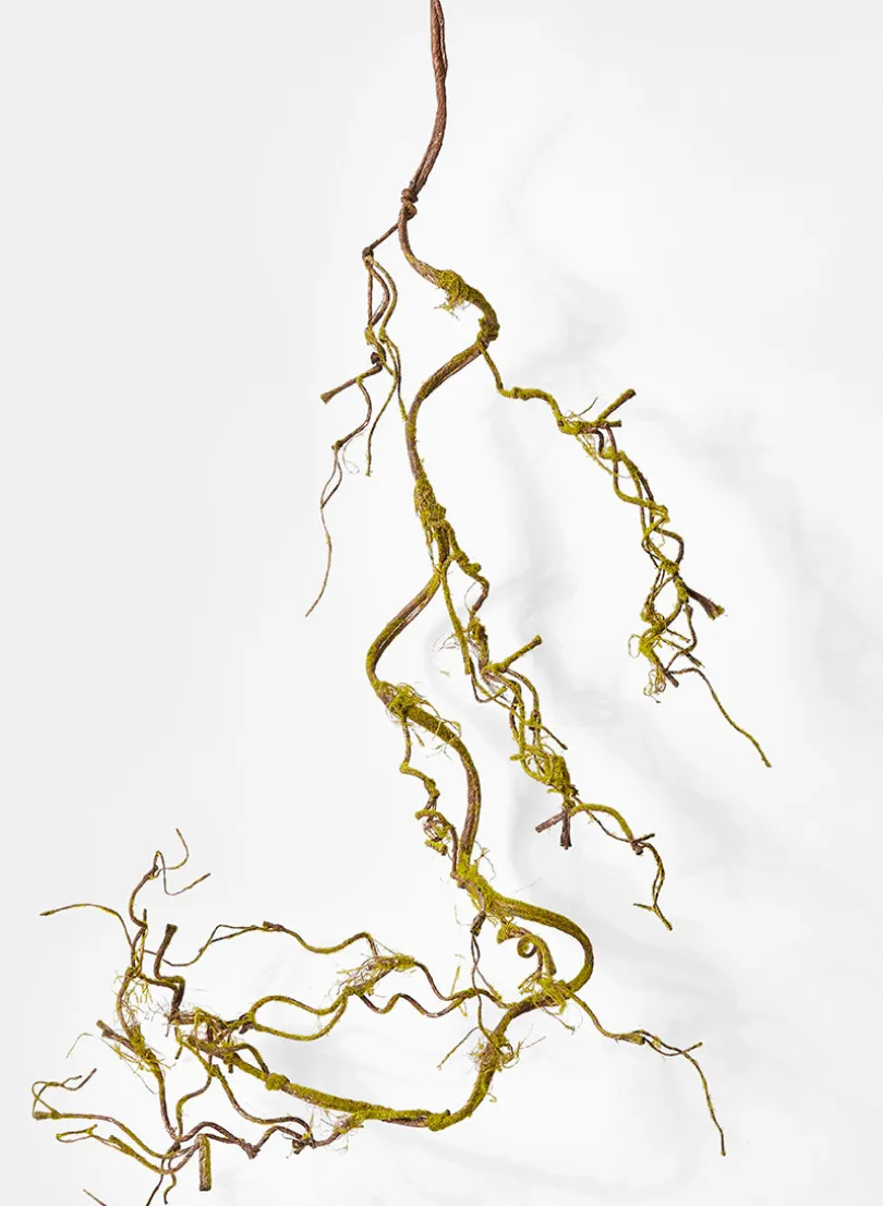 5ft Long Curly Vine Garland With Moss, Case of 6