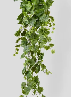 5ft Long Grape Ivy Hanger
