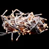 20ft Long 150L Rice Light, White Wire Clear Bulb
