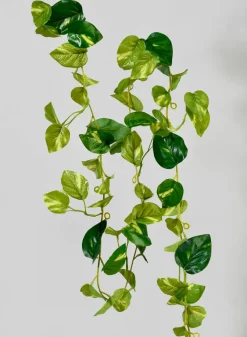 6ft Long Pothos Garland, Bundle of 12