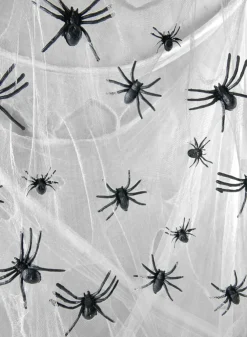 6ft Long Wicked Web With Small Spiders