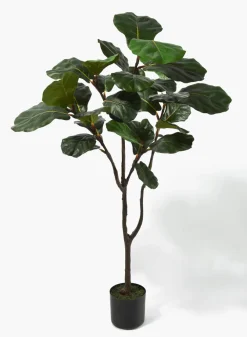4ft Tall Fiddle-Leaf Fig Tree