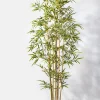 6ft Tall Potted Bamboo Tree