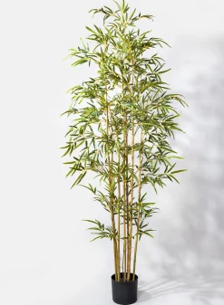 6ft Tall Potted Bamboo Tree