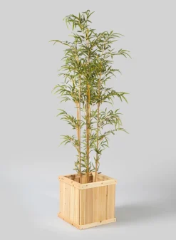 6ft Tall Potted Bamboo Tree